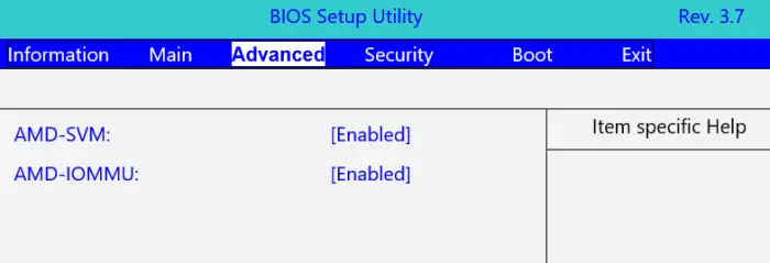 BIOS Acer AMD
