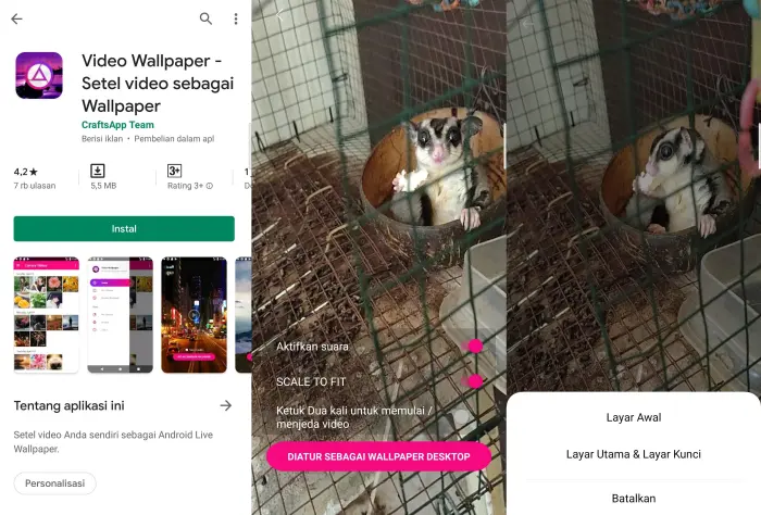 Wallpaper Video Infinix